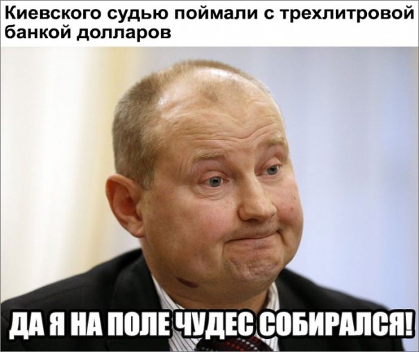 "Мыздобулы" в картинках. Смешных и не очень... 11-08-2016