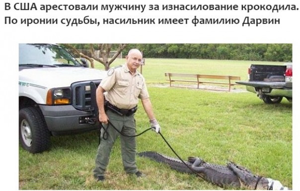 "Мыздобулы" в картинках. Смешных и не очень... 11-08-2016