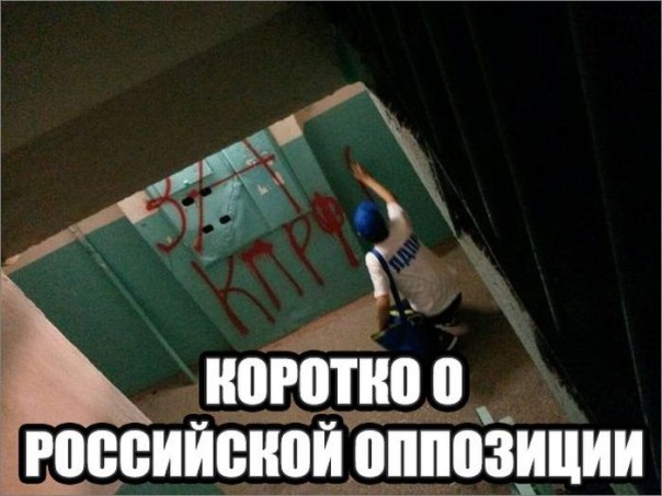 "Мыздобулы" в картинках. Смешных и не очень... 11-08-2016