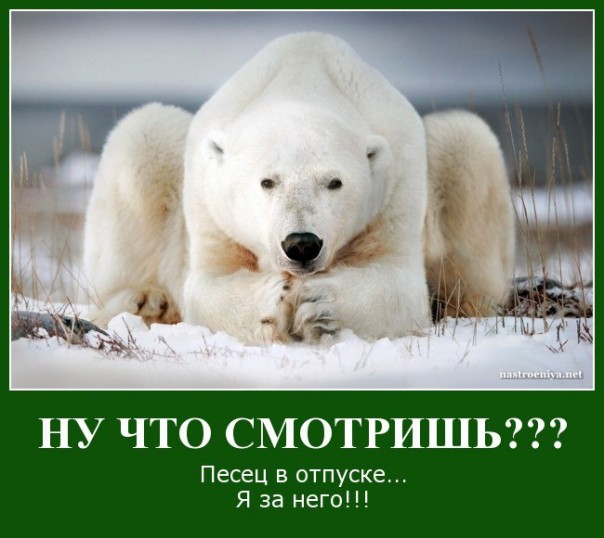 "Мыздобулы" в картинках. Смешных и не очень... 11-08-2016