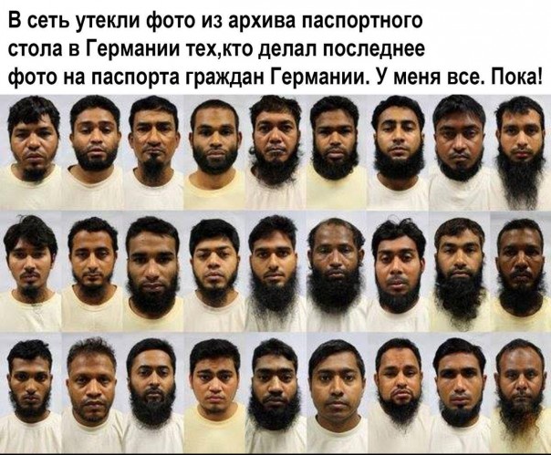 "Мыздобулы" в картинках. Смешных и не очень... 11-08-2016