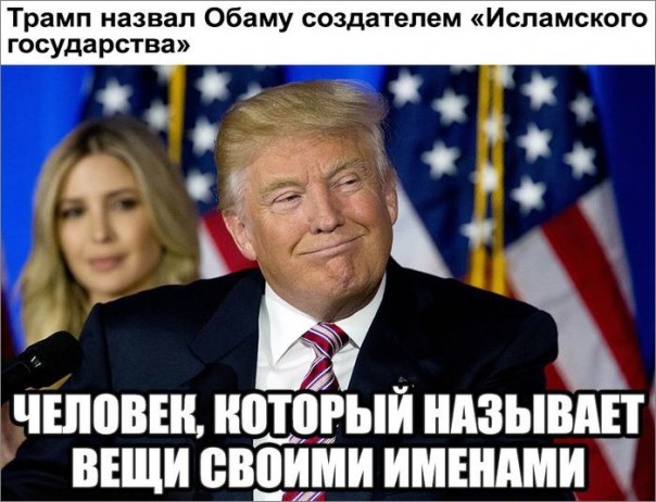 Мыздобулы" в картинках. Смешных и не очень... 13-08-2016