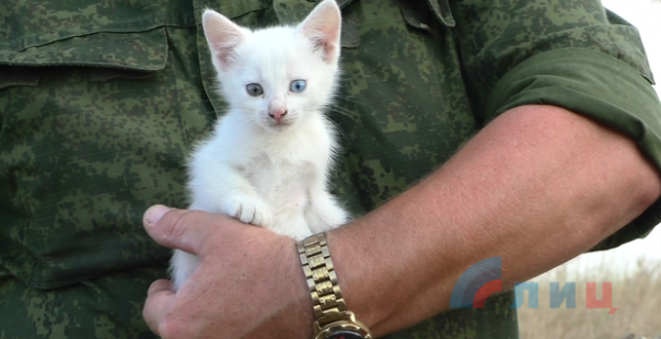 Сводка от НМ ЛНР 14 августа 2016 года. Бойцы Народной милиции терпят страшные обстрелы и готовы к долгожданному наступлению Сводка от НМ ЛНР 14 августа 2016 года. Бойцы Народной милиции терпят страшные обстрелы и готовы к долгожданному наступлению