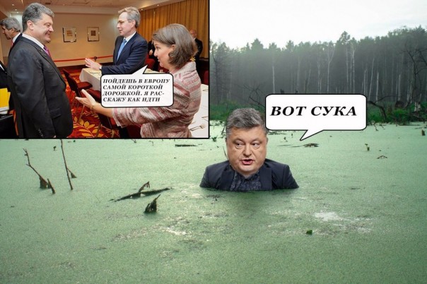 "Мыздобулы" в картинках. Смешных и не очень... 16-08-2016