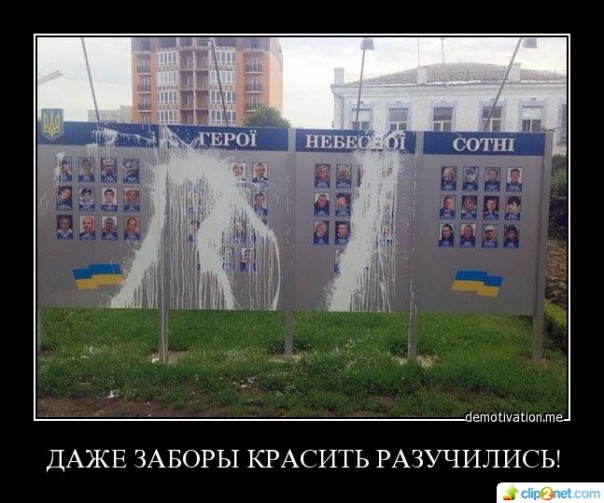 "Мыздобулы" в картинках. Смешных и не очень... 16-08-2016