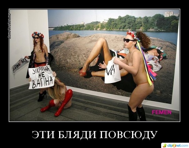 "Мыздобулы" в картинках. Смешных и не очень... 17-08-2016 "Мыздобулы" в картинках. Смешных и не очень... 17-08-2016