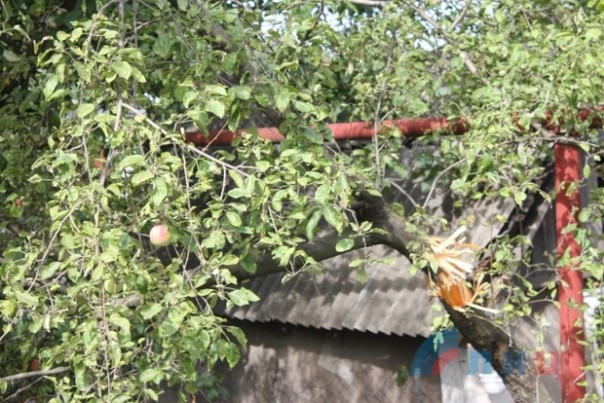 Сводка от НМ ЛНР 18 августа 2016 года. ВСУ перебрасывают в зону "АТО" подкрепление и готовят новую мобилизацию Сводка от НМ ЛНР 18 августа 2016 года. ВСУ перебрасывают в зону "АТО" подкрепление и готовят новую мобилизацию