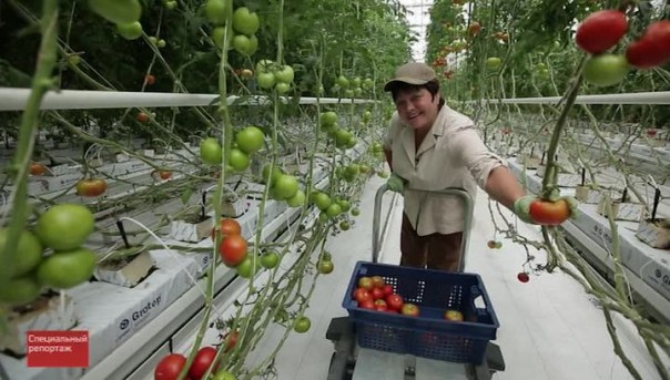 Территория больших инноваций. Специальный репортаж Александры Суворовой