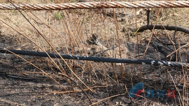 Сводка от НМ ЛНР 21 августа 2016 года. Укрофашисты четыре раза обстреляли позиции Народной милиции, применялись 152-мм орудия Сводка от НМ ЛНР 21 августа 2016 года. Укрофашисты четыре раза обстреляли позиции Народной милиции, применялись 152-мм орудия