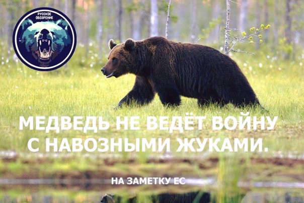 "Мыздобулы" в картинках. Смешных и не очень... 24-08-2016
