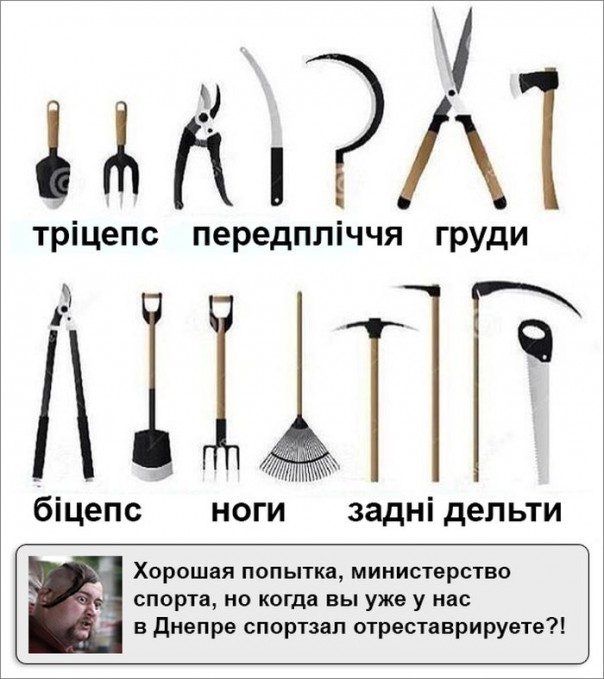 "Мыздобулы" в картинках. Смешных и не очень... 25-08-2016