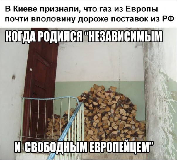 "Мыздобулы" в картинках. Смешных и не очень... 25-08-2016