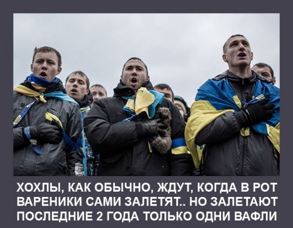 "Мыздобулы" в картинках. Смешных и не очень... 25-08-2016