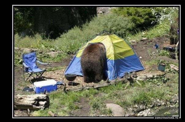 Мишке подозрение объявили