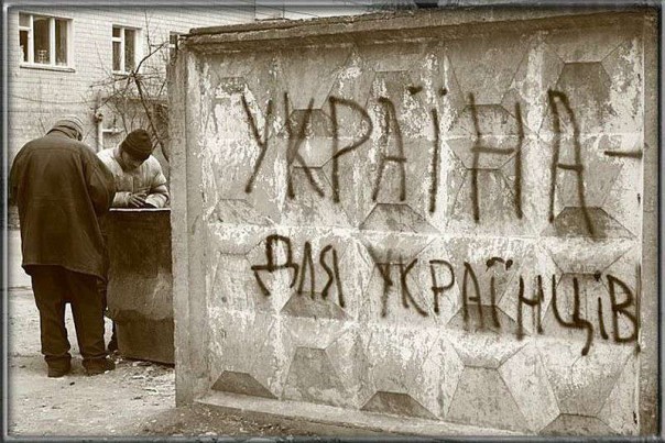 Украинцам уже привита идеология выживания. Николай Азаров