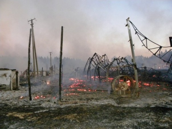 На Черниговщине способом самовыгорания потушено пять овощехранилищ, общей площадью 8 тысяч кв. м. На Черниговщине способом самовыгорания потушено пять овощехранилищ, общей площадью 8 тысяч кв. м.