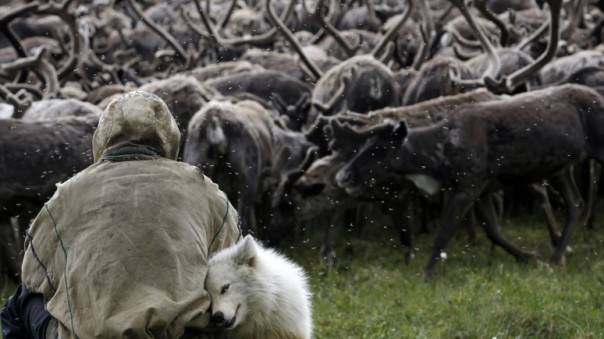 Le Monde: В России из-за потепления просыпаются древние инфекции