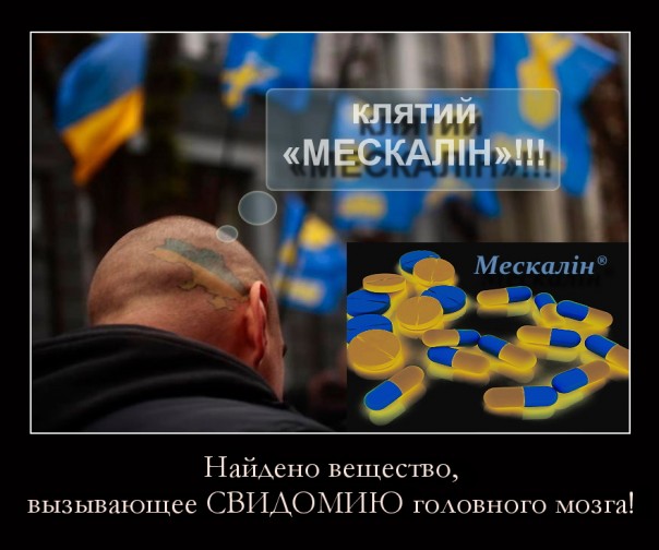 "Мыздобулы" в картинках. Смешных и не очень... 29-08-2016