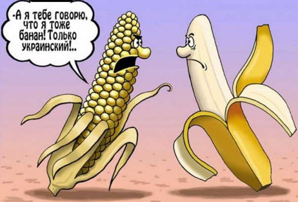 "Мыздобулы" в картинках. Смешных и не очень... 29-08-2016