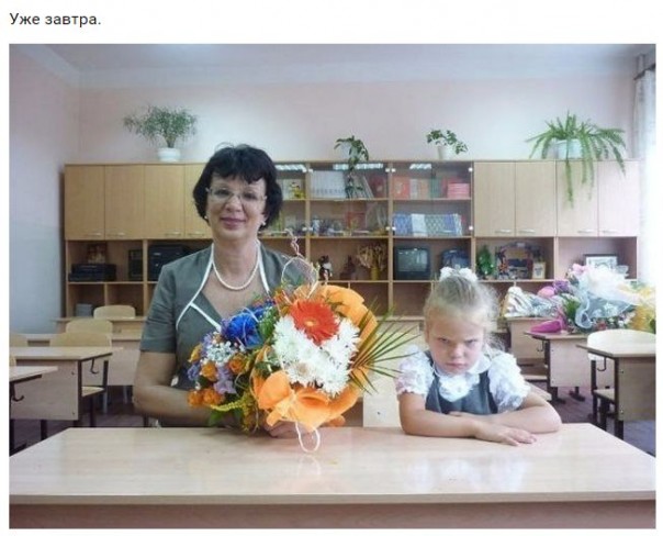 "Мыздобулы" в картинках. Смешных и не очень... 31-08-2016 "Мыздобулы" в картинках. Смешных и не очень... 31-08-2016