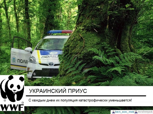 "Мыздобулы" в картинках. Смешных и не очень... 31-08-2016 "Мыздобулы" в картинках. Смешных и не очень... 31-08-2016