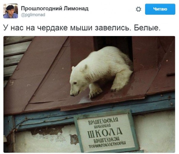 "Мыздобулы" в картинках. Смешных и не очень... 31-08-2016 "Мыздобулы" в картинках. Смешных и не очень... 31-08-2016