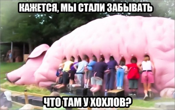 "Мыздобулы" в картинках. Смешных и не очень... 31-08-2016 "Мыздобулы" в картинках. Смешных и не очень... 31-08-2016