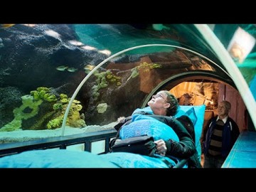 Последнее желание