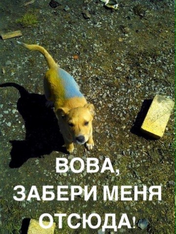 "Мыздобулы" в картинках. Смешных и не очень... 4-08-2016