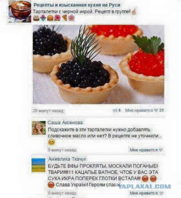 "Мыздобулы" в картинках. Смешных и не очень... 4-08-2016