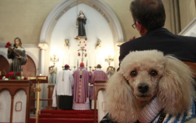 В Париже сносят христианскую церковь