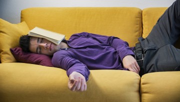 Ученые доказали, что лень является признаком высокого интеллекта