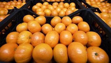 В России разрешили ввоз продуктов из Нигерии и Сомали прямыми поставками