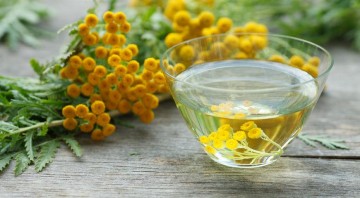 7 природных антибиотиков, которые не стоят ни копейки