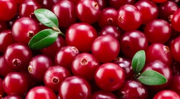 7 природных антибиотиков, которые не стоят ни копейки