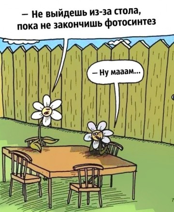 Шутки учёных