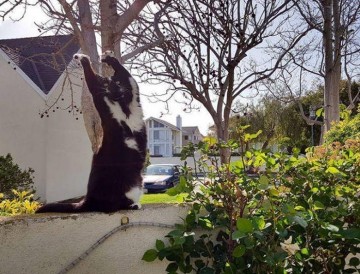 Они думают, что я сдаюсь