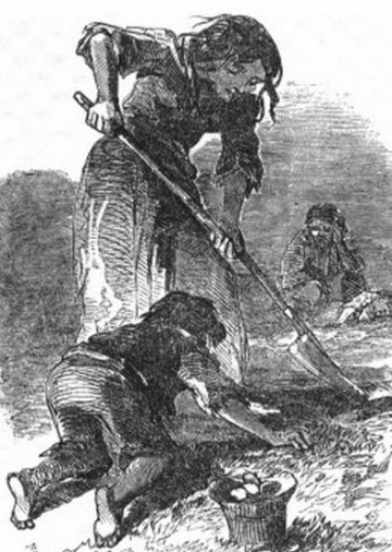 Эта уродливая, нищая, варварская Европа…