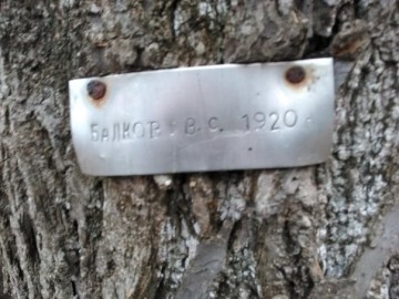 Поисковая Россия