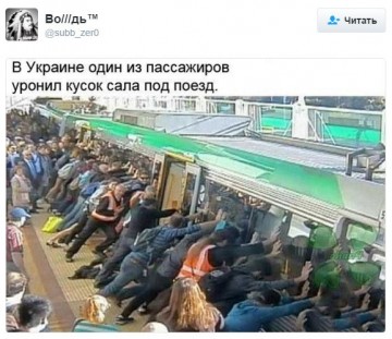 "Мыздобулы" в картинках. Смешных и не очень... 16-08-2016