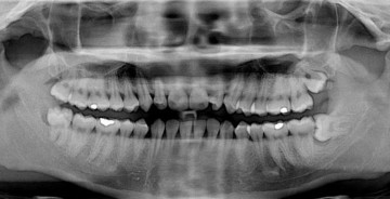 Самые вредоносные научные теории