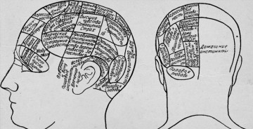 Самые вредоносные научные теории