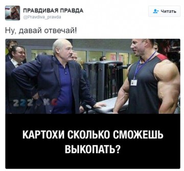 "Мыздобулы" в картинках. Смешных и не очень... 24-08-2016