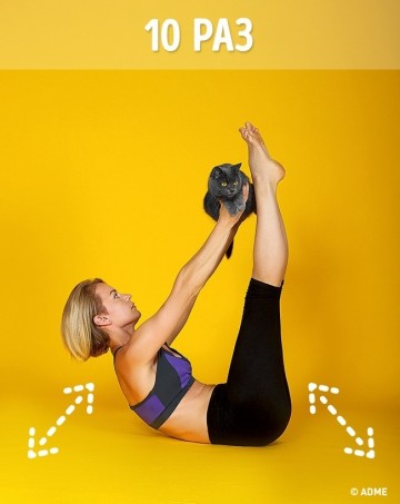 8 способов заменить спортзал одним котом