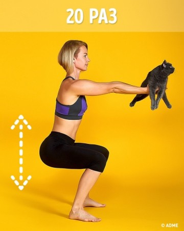 8 способов заменить спортзал одним котом