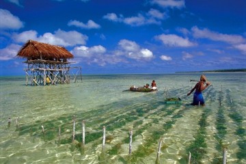 Полное и безоговорочное кирибати!