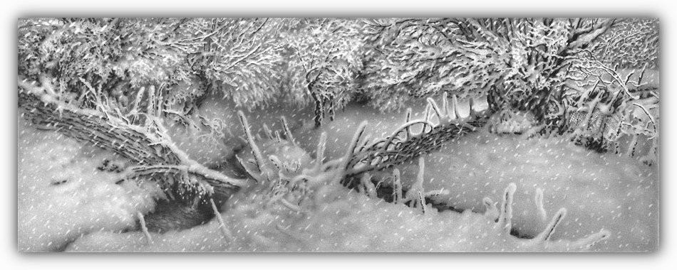 Снег, согревающий душу. Снег, согревающий душу.