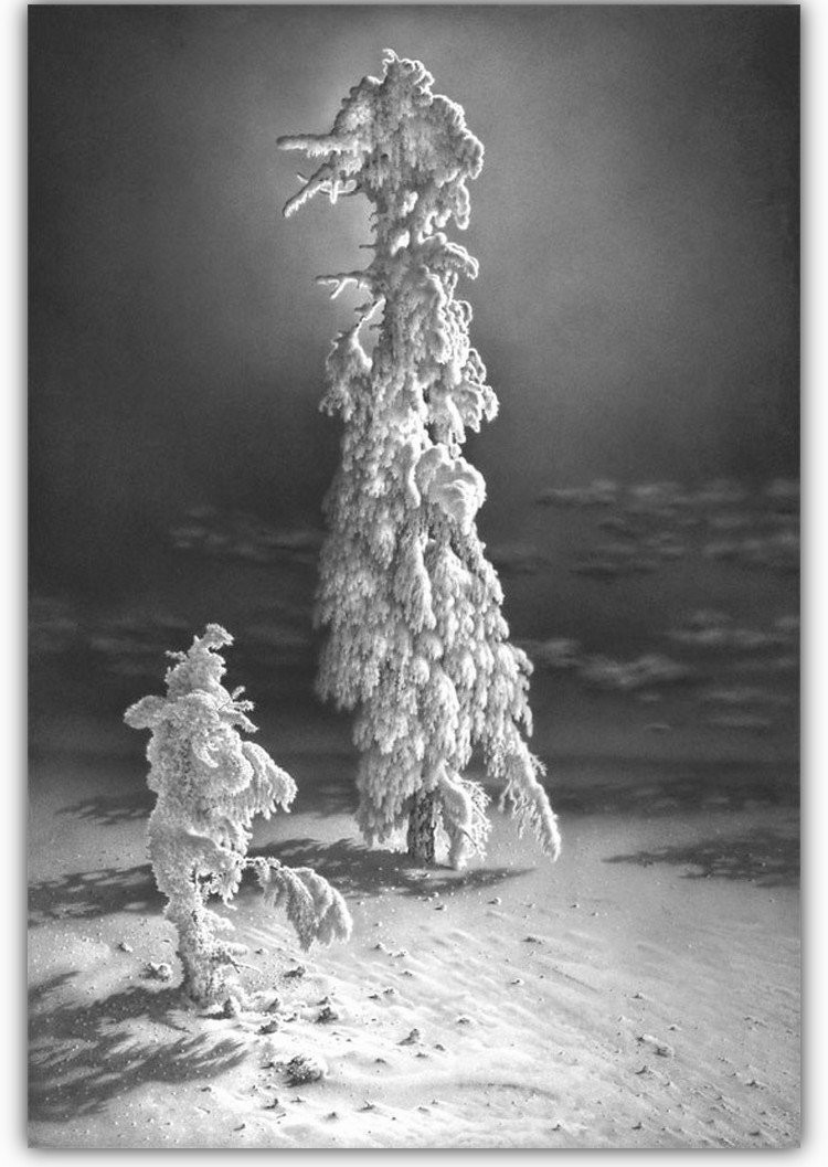 Снег, согревающий душу. Снег, согревающий душу.