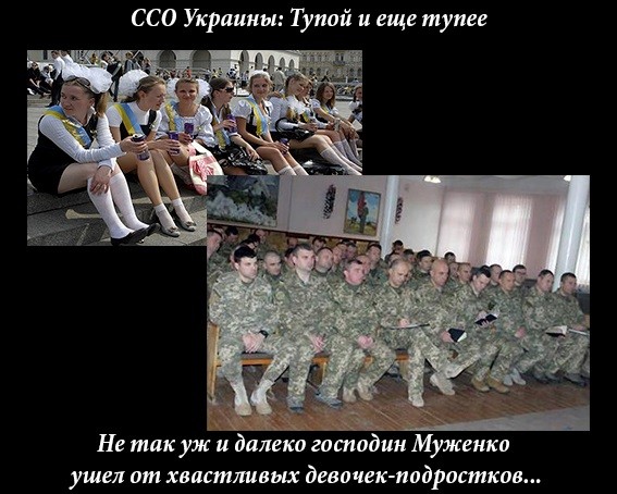 ССО Украины – тупой и еще тупее?