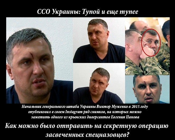 ССО Украины – тупой и еще тупее?